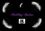 modeling institut logo