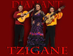 Diamant Tzigane logo