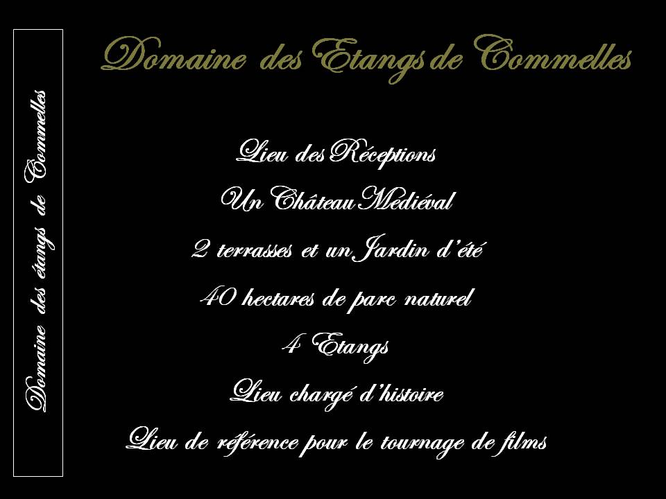 DOMAINE DES TANGS DE COMMELLES