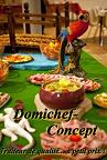 Domichef-Concept logo