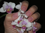 ongles, extensions capillaires Virginie Daix- logo