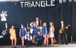 Logo Groupe Triangle