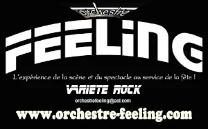 Logo Orchestre FEELING