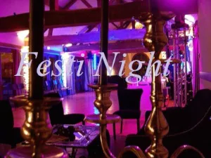Logo Festi' Night