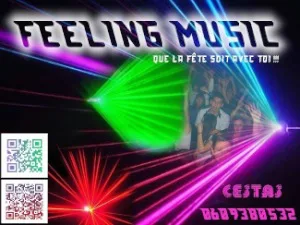 Logo Feeling Music