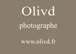 Logo Desaleux olivier