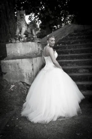 Fee De La Photo