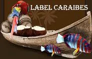 Logo Label Caraibes