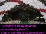 Logo animafete dj fred