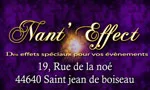Logo nant'effect