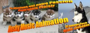 Logo Husky Music Animation