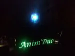 Logo Animduo