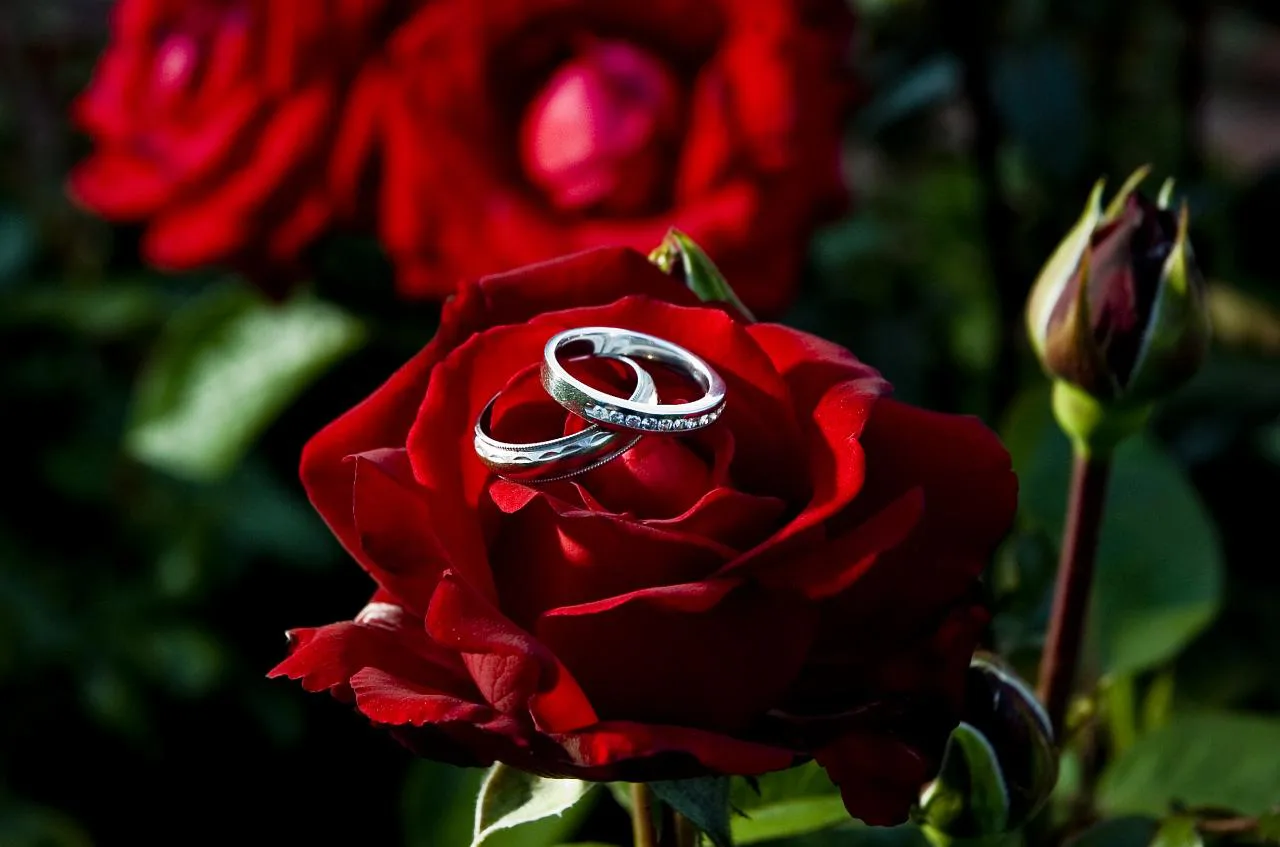 Mariage-38 by NDS
