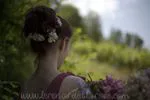 Logo Le renard et la rose - photographie