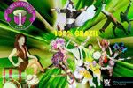 Logo Percussivement-Art-World