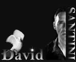 Logo Magicien David Santini