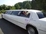Logo generation limousines