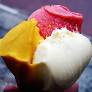 Logo Coco Cherie