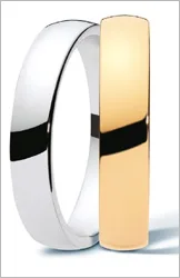 Logo Ds Mariage