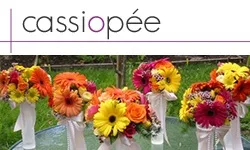 Logo Cassiopée
